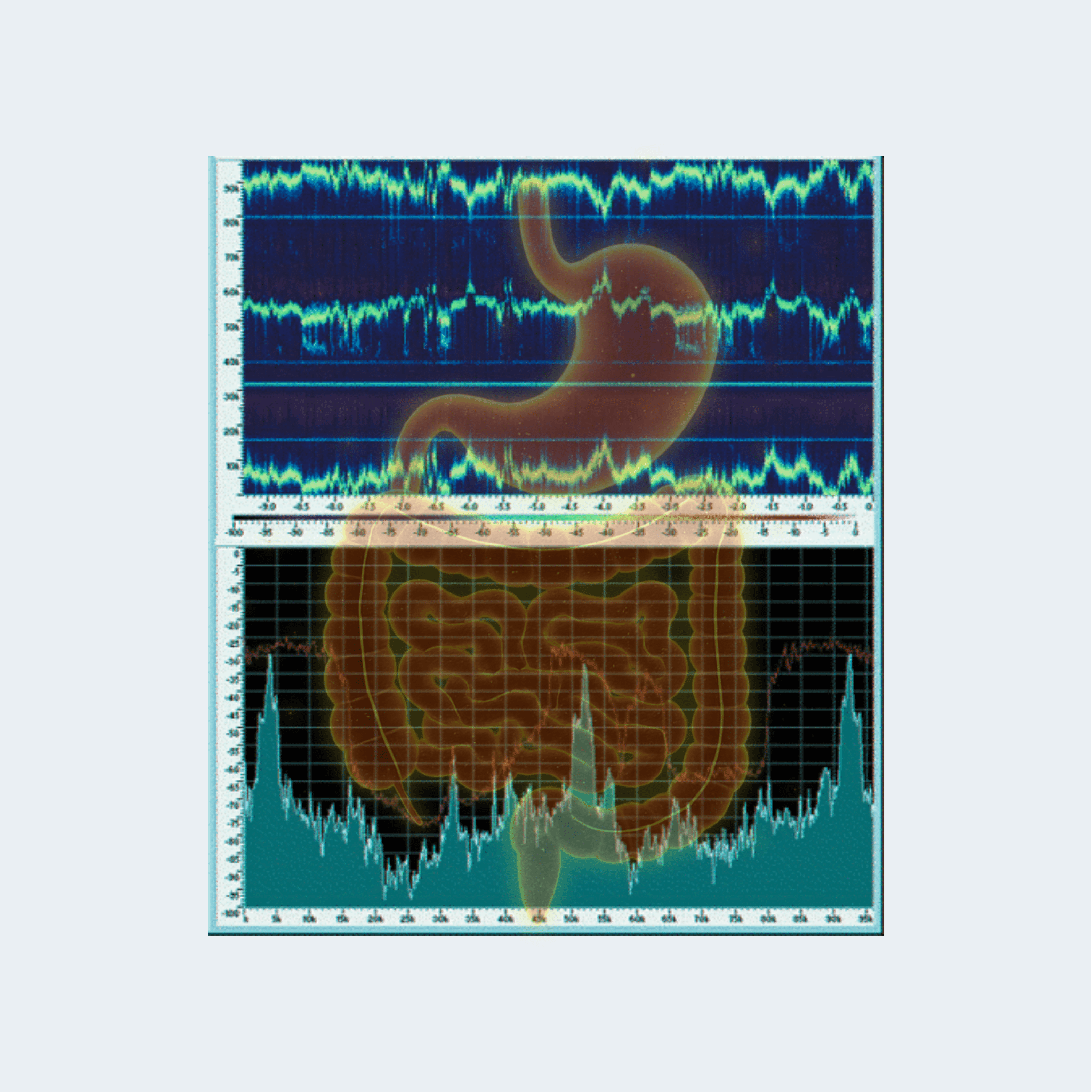 AquaInitiators for Digestion, Metabolism and Weight Correction