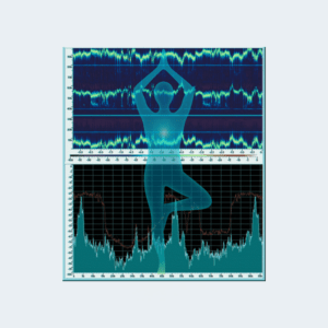 Musculoskeletal Stability and Physical Balance