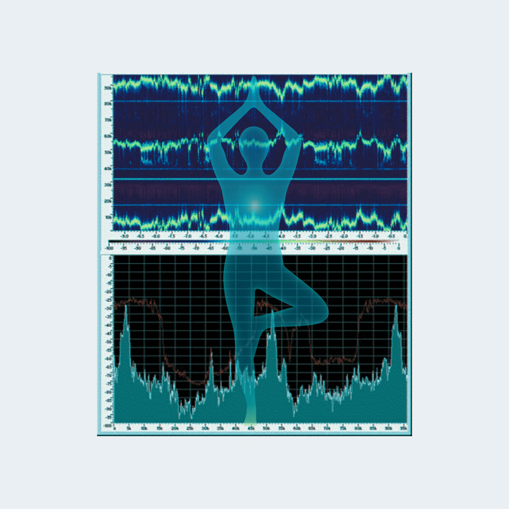 Musculoskeletal Stability and Physical Balance